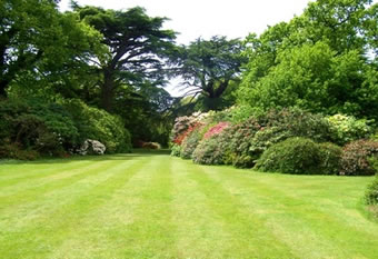 One of the gardens we maintain